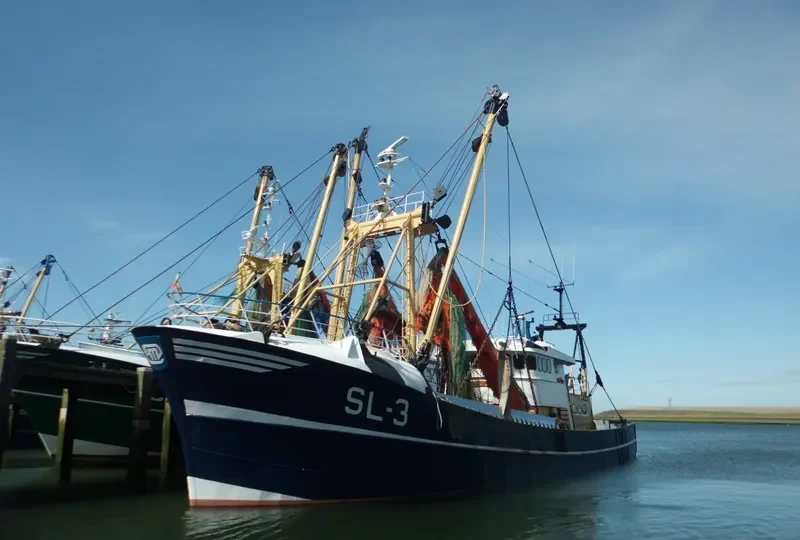 WILLIAM OF LADRAM Fishing Vessel IMO 7912214 photo 7