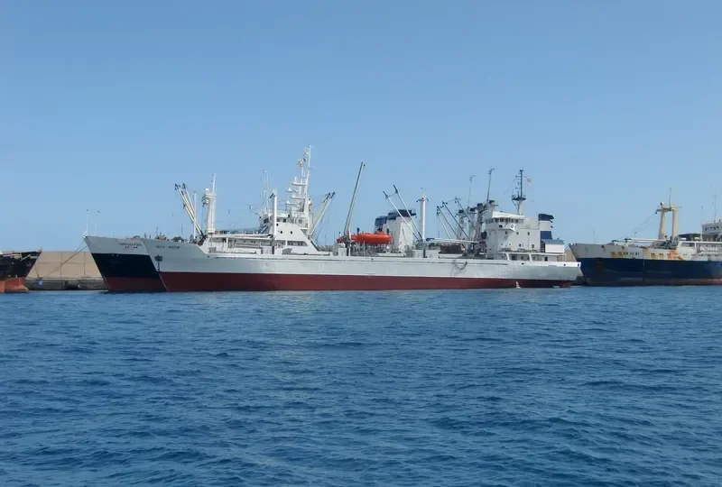 DELTA REEFER General Cargo IMO 7912408