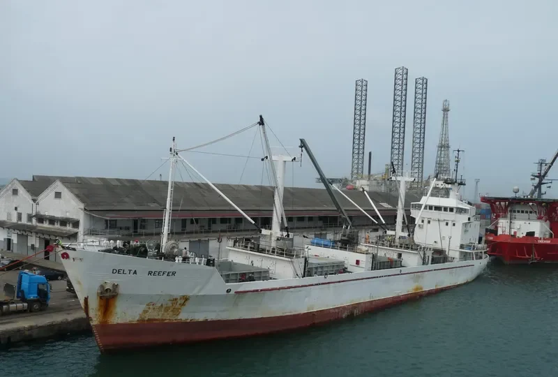 DELTA REEFER General Cargo IMO 7912408 photo 2