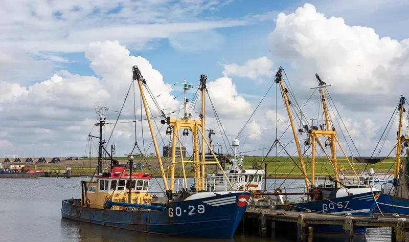 GO 29JAN MARIA Fishing Vessel IMO 7912410 photo 3
