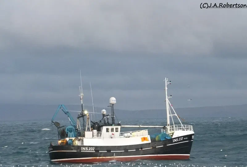 ACORN INS237 General Cargo IMO 7912707 photo 2