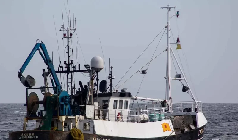 ACORN INS237 General Cargo IMO 7912707 photo 5