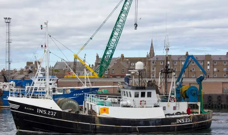 ACORN INS237 General Cargo IMO 7912707 photo 6