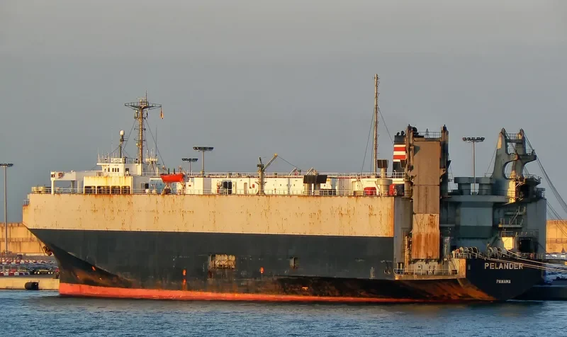 PELANDER General Cargo IMO 7913115 photo 2