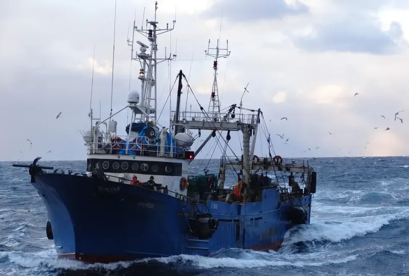 OROCHON General Cargo IMO 7913567