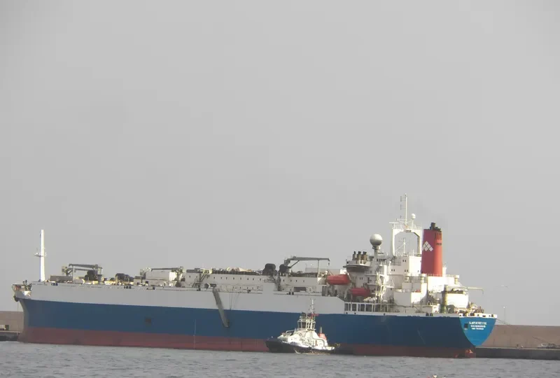 VLADIVOSTOK 2000 General Cargo IMO 7913622 photo 2