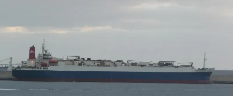 VLADIVOSTOK 2000 General Cargo IMO 7913622 photo 3