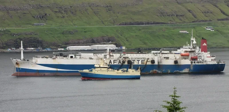 VLADIVOSTOK 2000 General Cargo IMO 7913622 photo 9