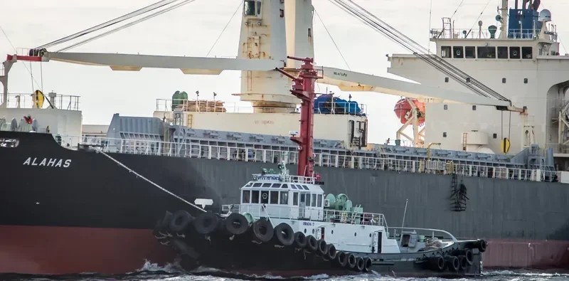 SRIRACHA 17 Tug Boat IMO 7913763 photo 2