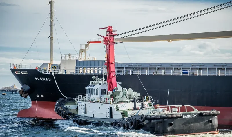 SRIRACHA 17 Tug Boat IMO 7913763 photo 3