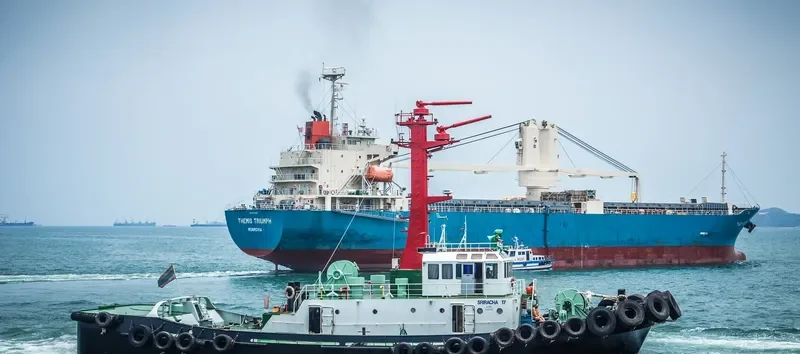 SRIRACHA 17 Tug Boat IMO 7913763 photo 4