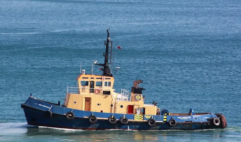WELLINGTON General Cargo IMO 7915151
