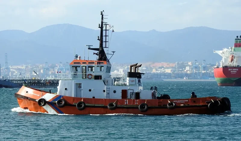 WELLINGTON General Cargo IMO 7915151 photo 2