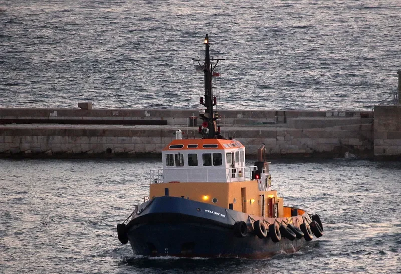 WELLINGTON General Cargo IMO 7915151 photo 5