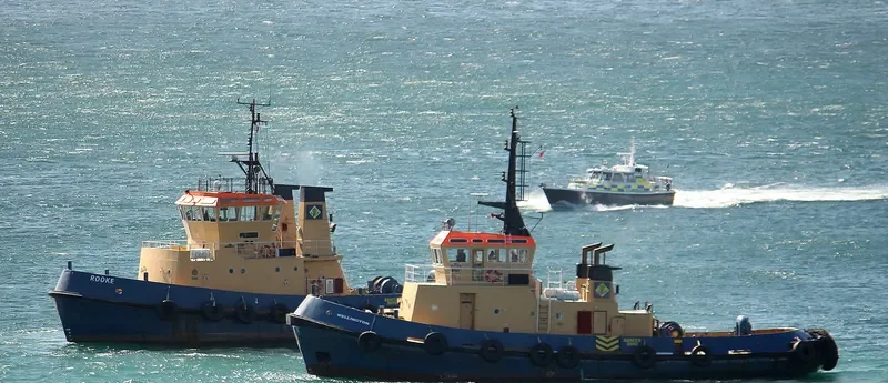 WELLINGTON General Cargo IMO 7915151 photo 6