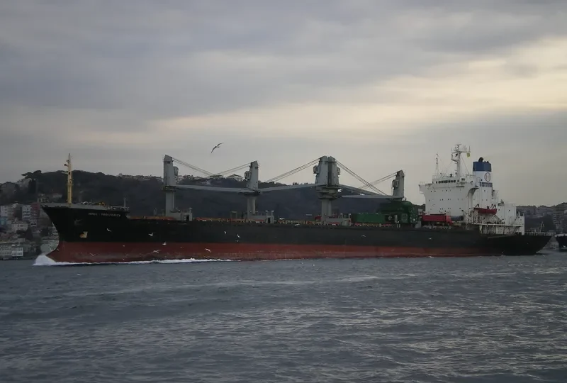 HONG PROSPERITY General Cargo IMO 7915254 photo 3