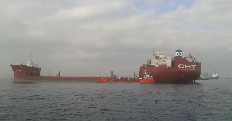 FALCON General Cargo IMO 7915278