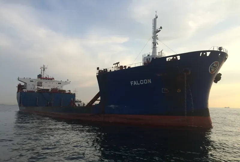 FALCON General Cargo IMO 7915278 photo 3