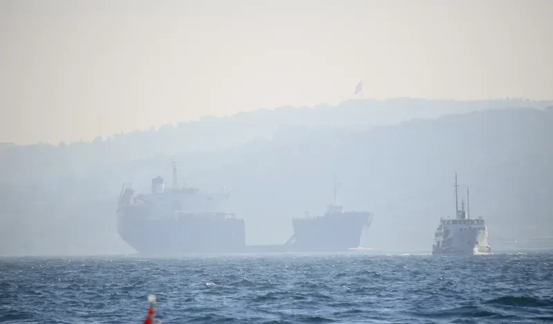 FALCON General Cargo IMO 7915278 photo 8