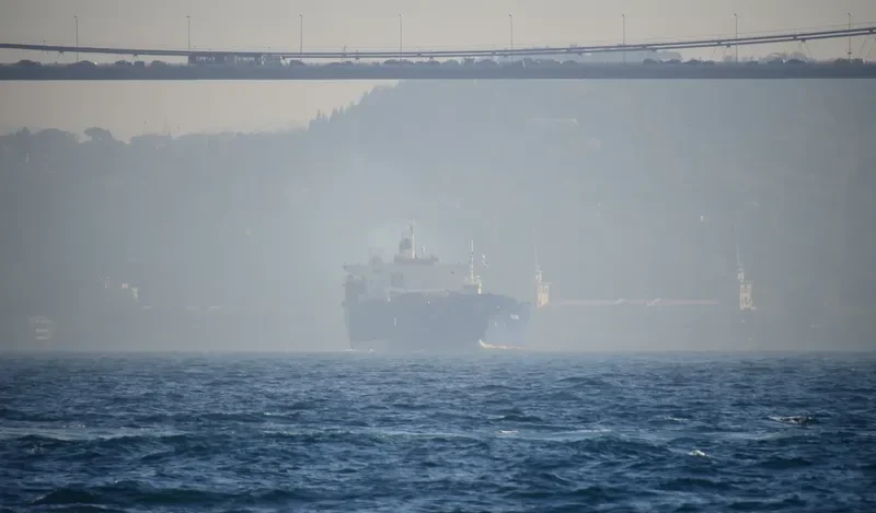 FALCON General Cargo IMO 7915278 photo 9