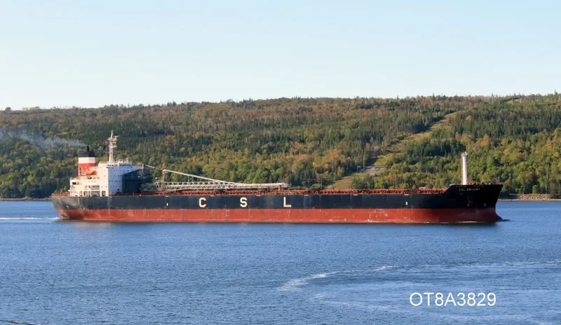 CSL ARGOSY Bulk Carrier IMO 7915412 photo 4