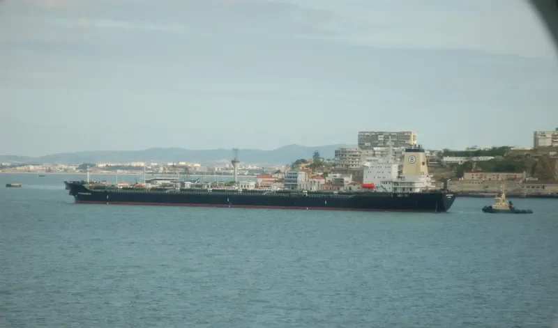 BINTAN STAR Bulk Carrier IMO 7915656 photo 2