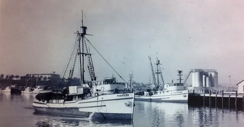 PIONEER Fishing Vessel IMO 7915852