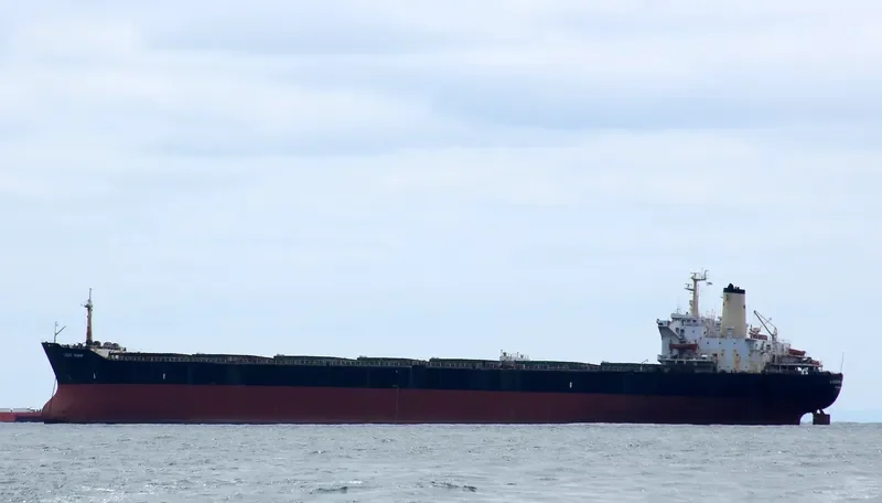 LUCKY VISHIP Bulk Carrier IMO 7916325