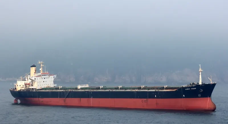 LUCKY VISHIP Bulk Carrier IMO 7916325 photo 2