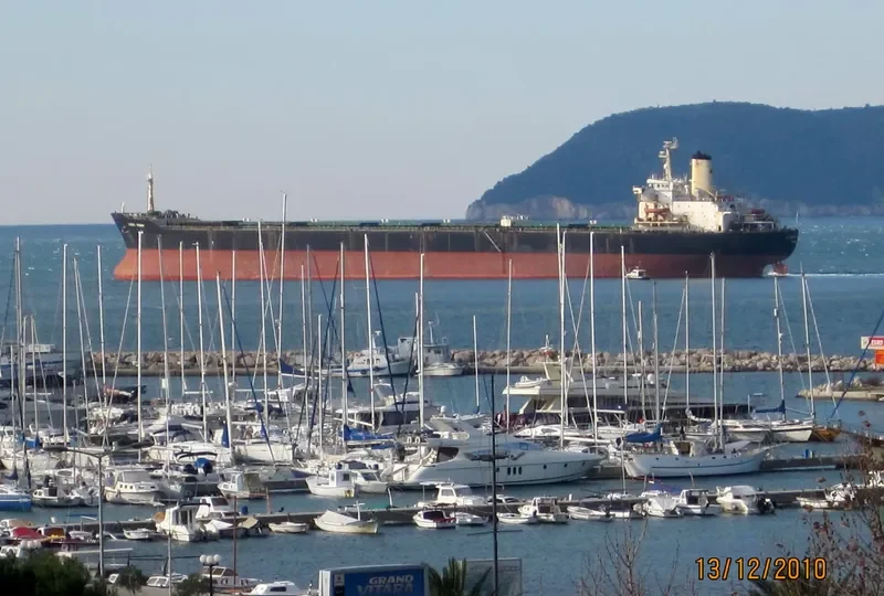 LUCKY VISHIP Bulk Carrier IMO 7916325 photo 6