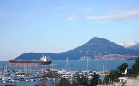 LUCKY VISHIP Bulk Carrier IMO 7916325 photo 8