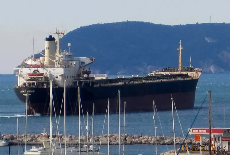 LUCKY VISHIP Bulk Carrier IMO 7916325 photo 9