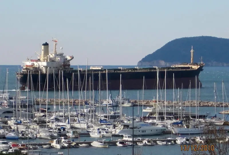 LUCKY VISHIP Bulk Carrier IMO 7916325 photo 10