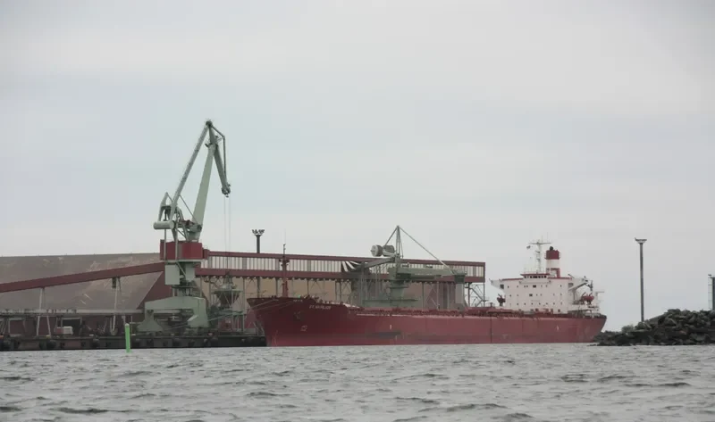 ST VASILIOS Bulk Carrier IMO 7916337 photo 2