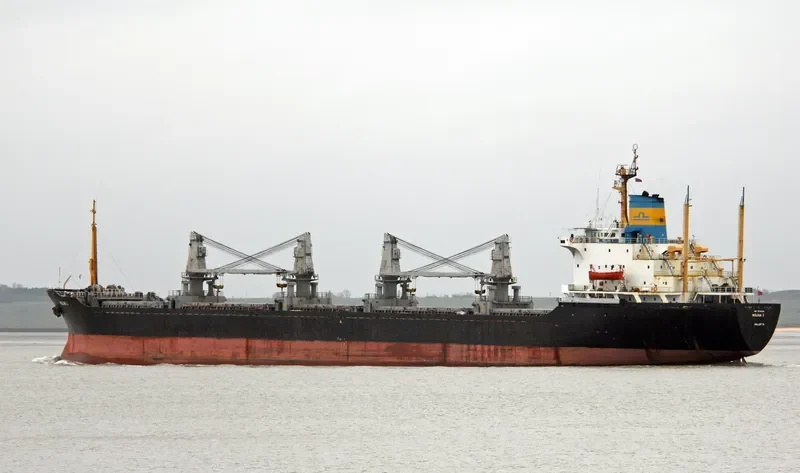 MELINA I Bulk Carrier IMO 7916636