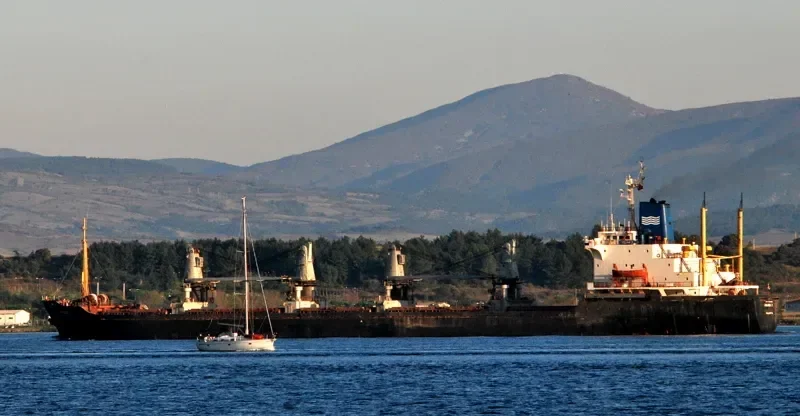 MELINA I Bulk Carrier IMO 7916636 photo 2