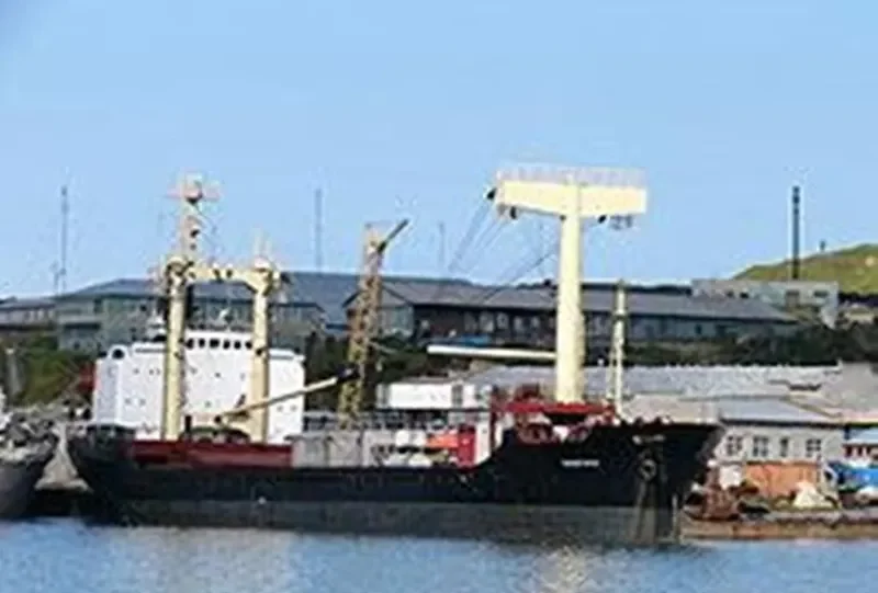 SINEGORYE General Cargo IMO 7916674