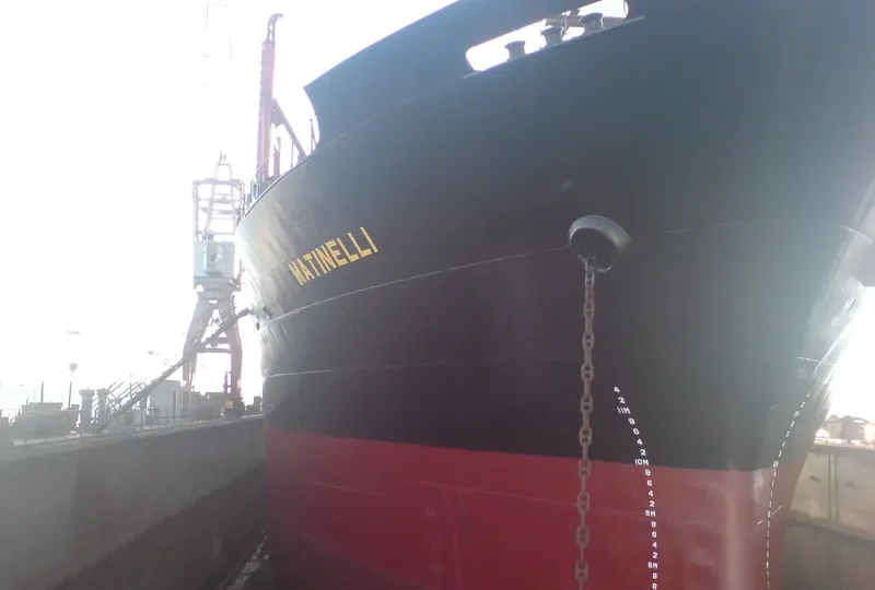 TINE Bulk Carrier IMO 7916818 photo 2