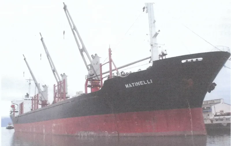 TINE Bulk Carrier IMO 7916818 photo 4