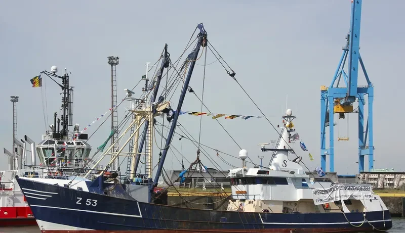 VAN EYCK General Cargo IMO 7916959