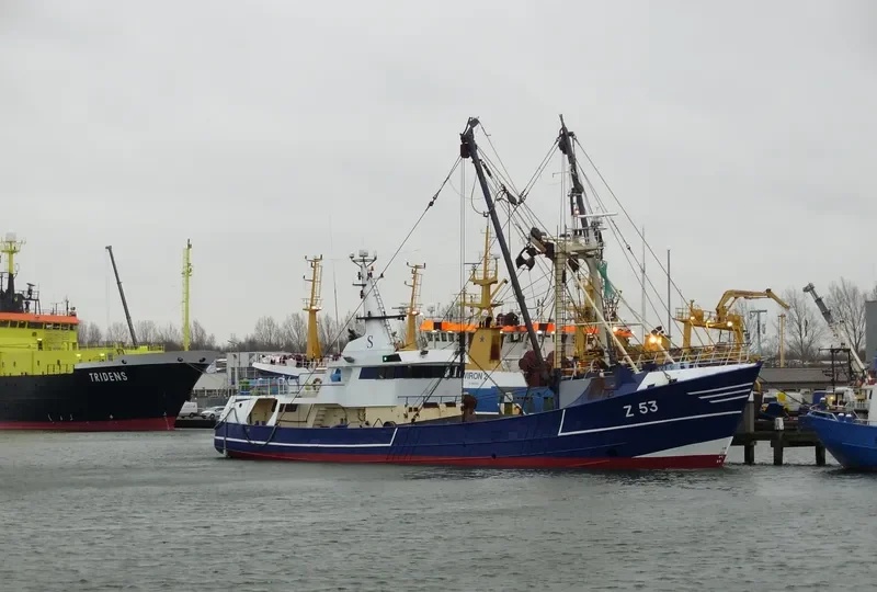 VAN EYCK General Cargo IMO 7916959 photo 2