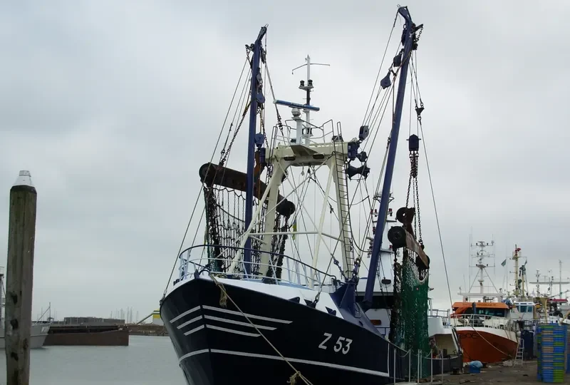 VAN EYCK General Cargo IMO 7916959 photo 4