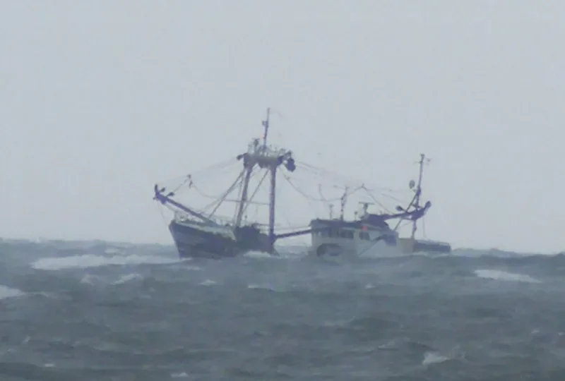 VAN EYCK General Cargo IMO 7916959 photo 7