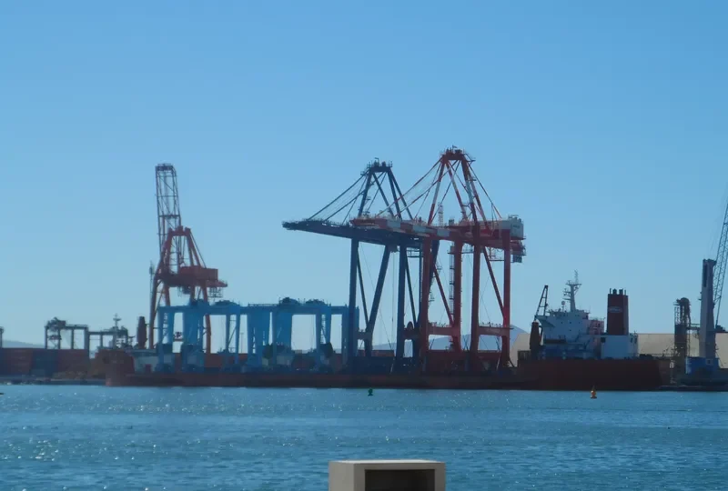 ZHEN HUA 11 General Cargo IMO 7917446 photo 2