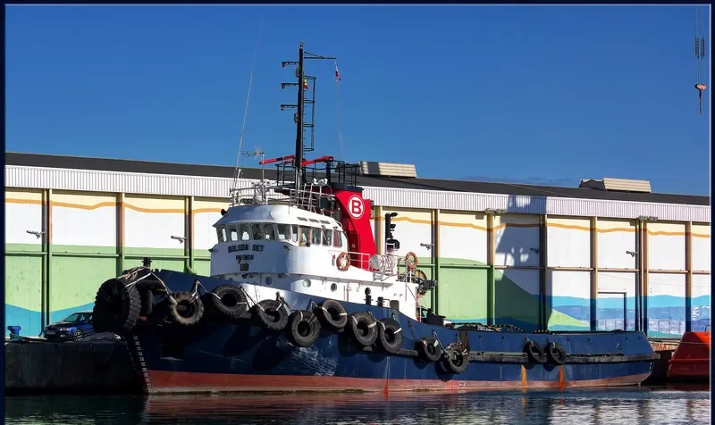 BOLUDA SET General Cargo IMO 7917484 photo 2