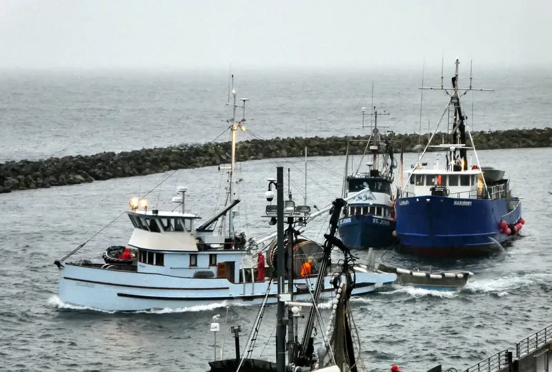 HARMONY I Fishing Vessel IMO 7917666 photo 2