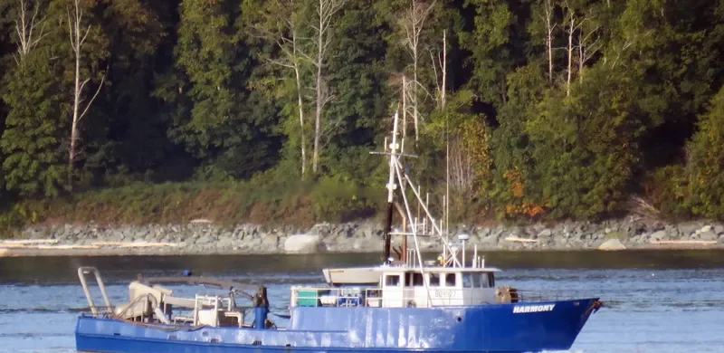 HARMONY I Fishing Vessel IMO 7917666 photo 10