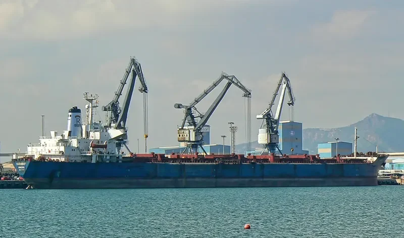 BIN DONG SHAN 36 Bulk Carrier IMO 7917927