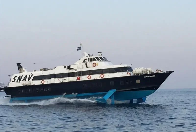 SUPER JUMBO Passenger Ship IMO 7918165 photo 2