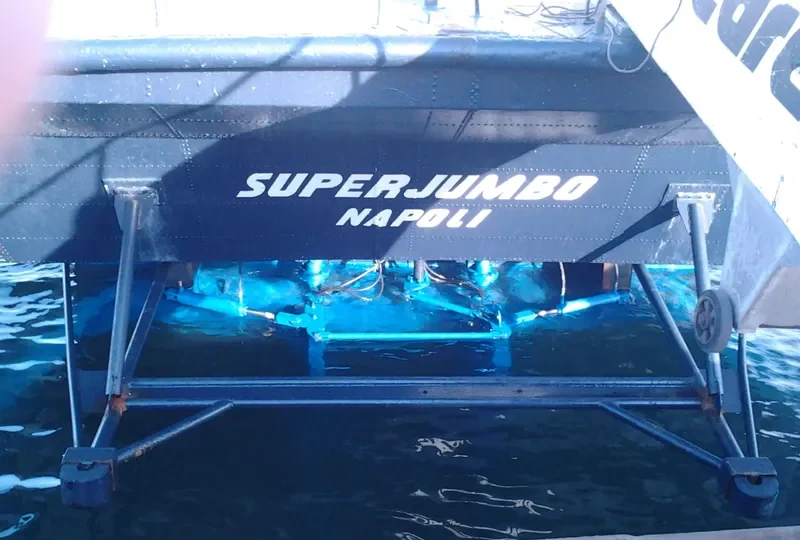 SUPER JUMBO Passenger Ship IMO 7918165 photo 3